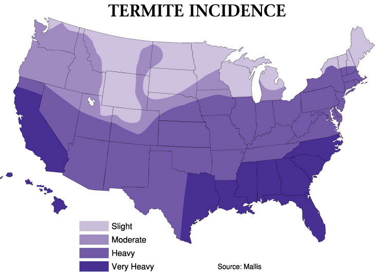 Termite Map